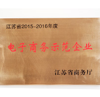 江苏省电子商务示范企业